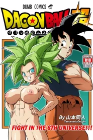 Fight in the 6th Universe